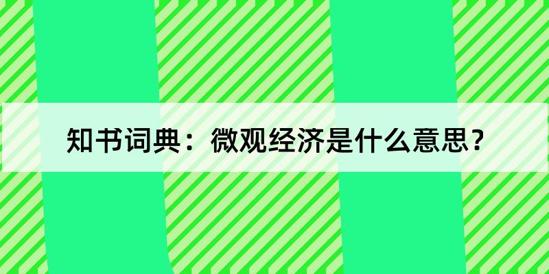 微观经济是什么意思?