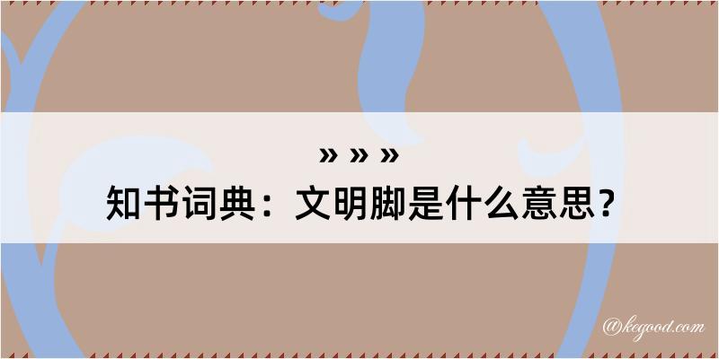 知书词典：文明脚是什么意思？