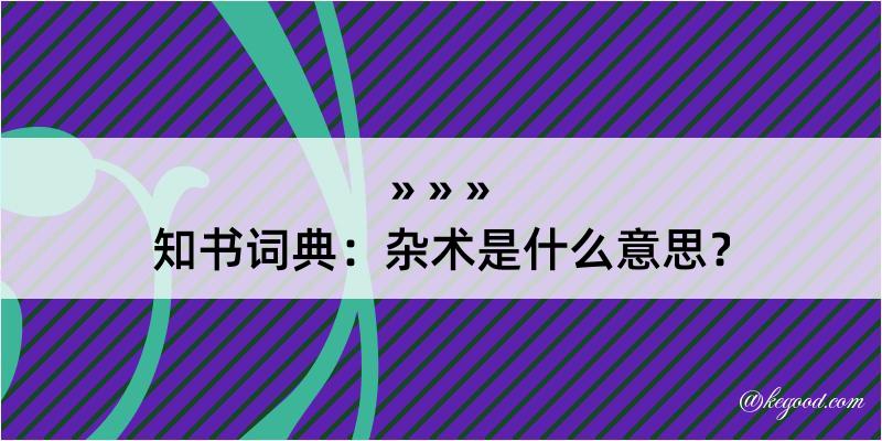 知书词典：杂术是什么意思？