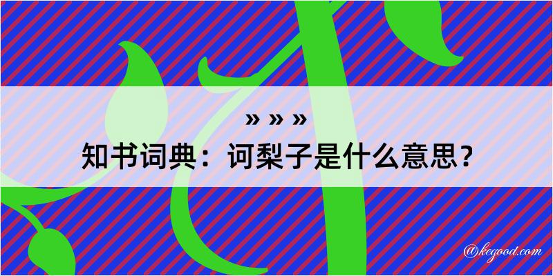 知书词典：诃梨子是什么意思？