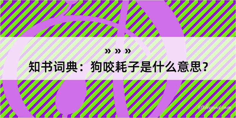 知书词典：狗咬耗子是什么意思？