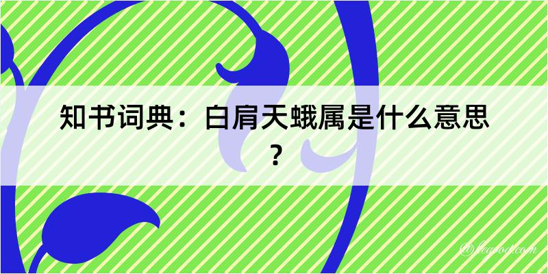 知书词典：白肩天蛾属是什么意思？