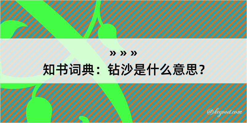 知书词典：钻沙是什么意思？