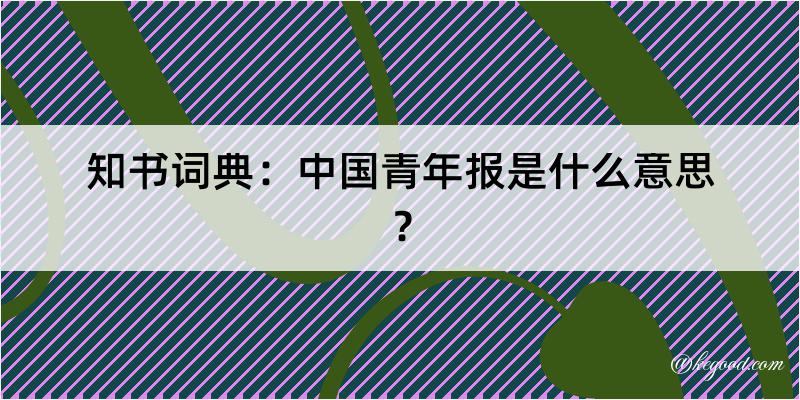 知书词典：中国青年报是什么意思？