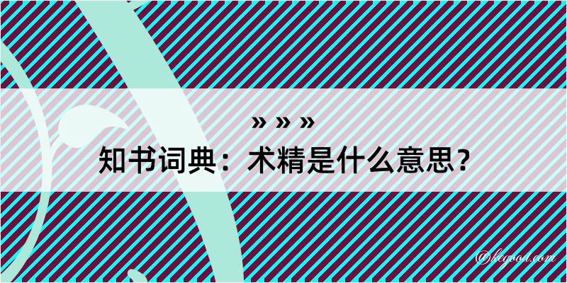 知书词典：术精是什么意思？