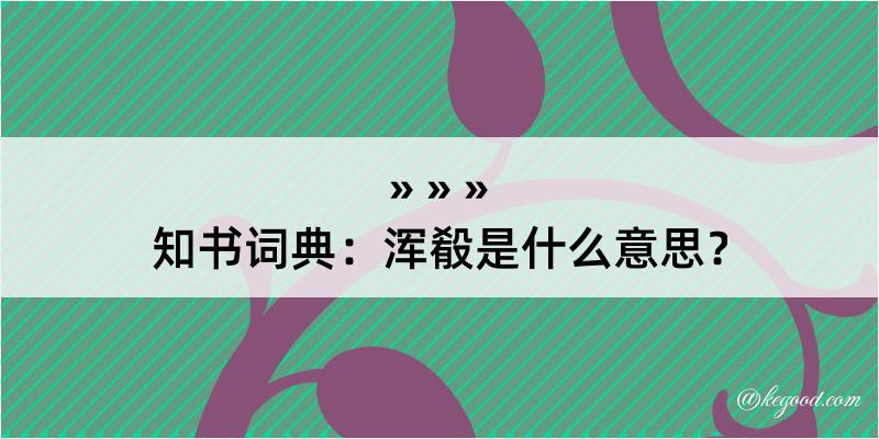 知书词典：浑殽是什么意思？