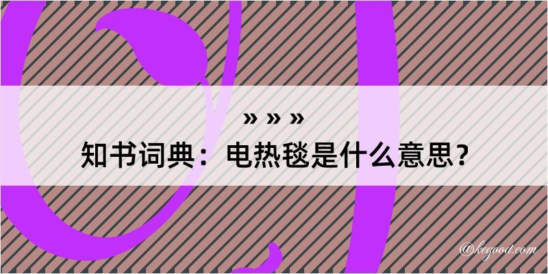 知书词典：电热毯是什么意思？