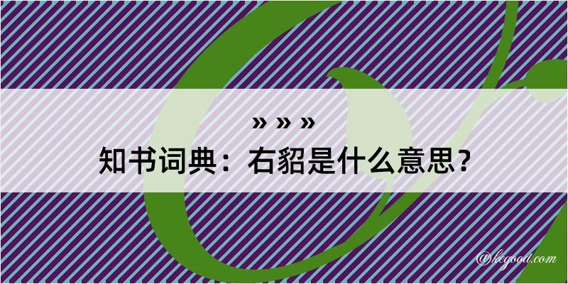 知书词典：右貂是什么意思？