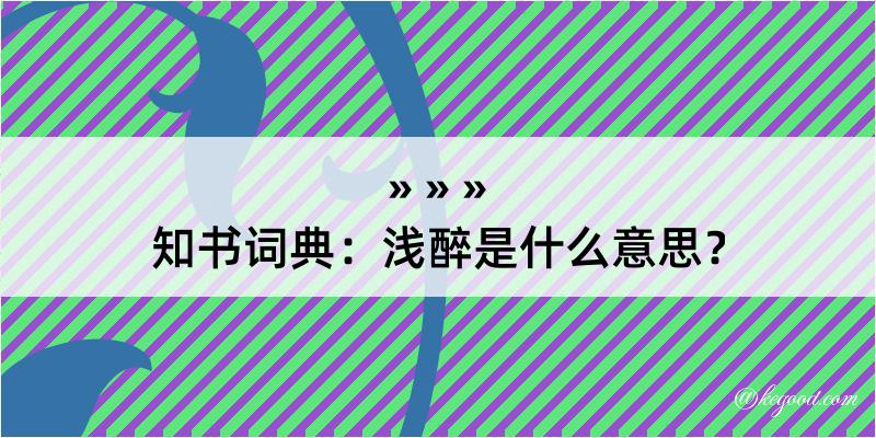 知书词典：浅醉是什么意思？