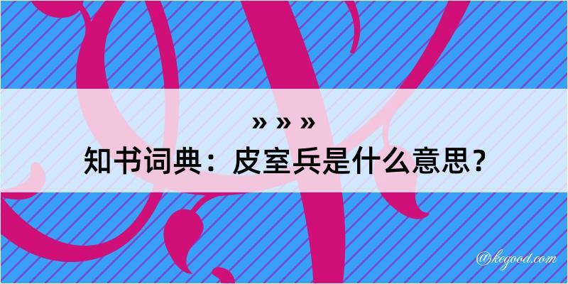 知书词典：皮室兵是什么意思？