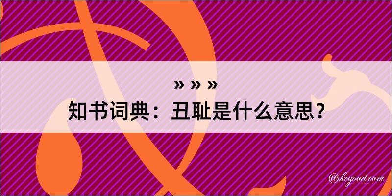 知书词典：丑耻是什么意思？