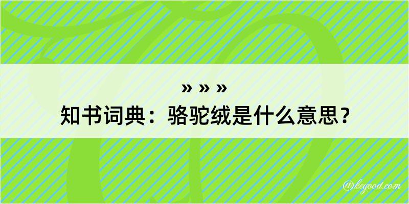 知书词典：骆驼绒是什么意思？