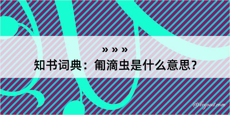 知书词典：匍滴虫是什么意思？