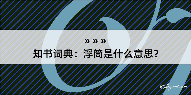 知书词典：浮筒是什么意思？