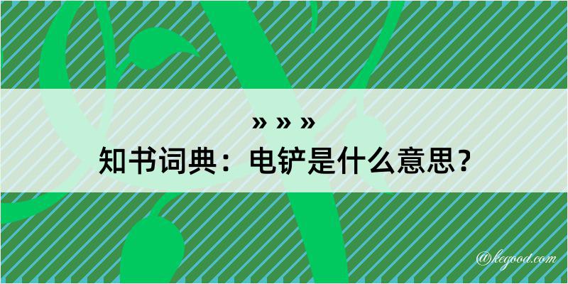 知书词典：电铲是什么意思？