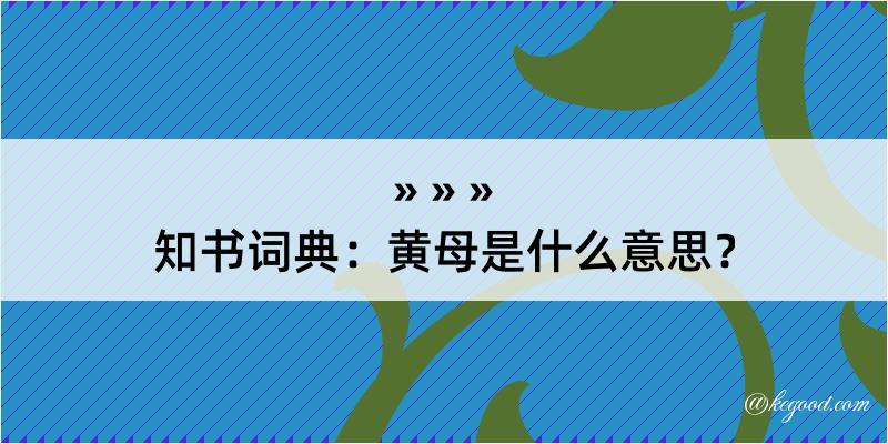 知书词典：黄母是什么意思？