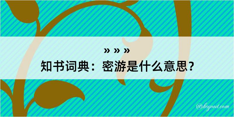 知书词典：密游是什么意思？