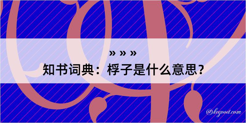 知书词典：桴子是什么意思？