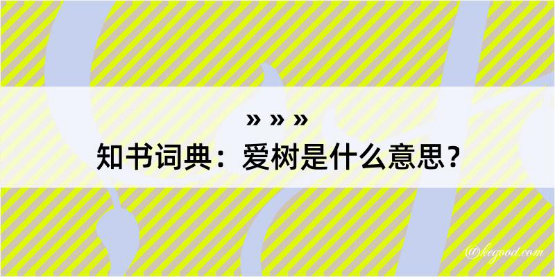 知书词典：爱树是什么意思？