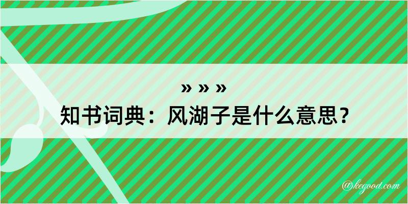 知书词典：风湖子是什么意思？