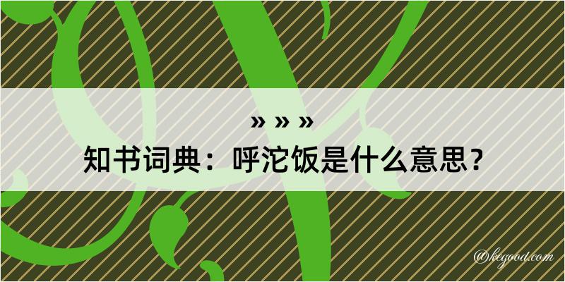 知书词典：呼沱饭是什么意思？