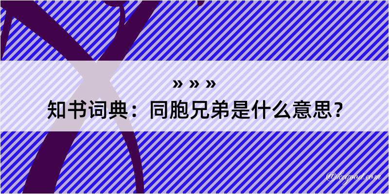 知书词典：同胞兄弟是什么意思？