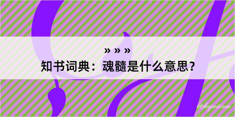 知书词典：魂髓是什么意思？