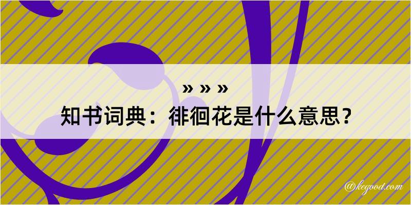 知书词典：徘徊花是什么意思？