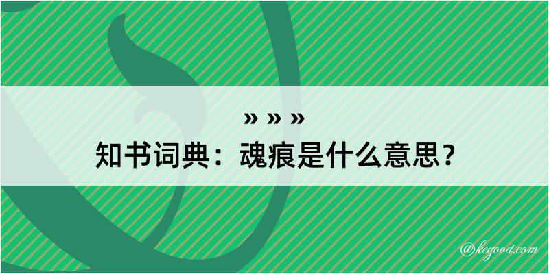 知书词典：魂痕是什么意思？