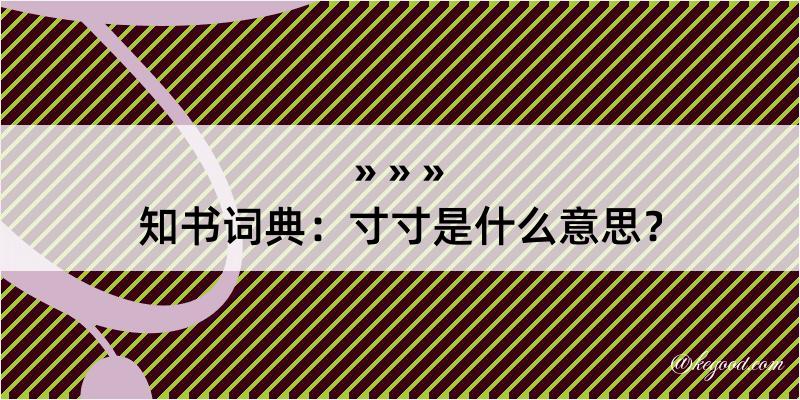 知书词典：寸寸是什么意思？