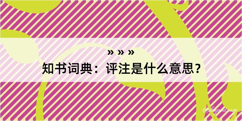 知书词典：评注是什么意思？