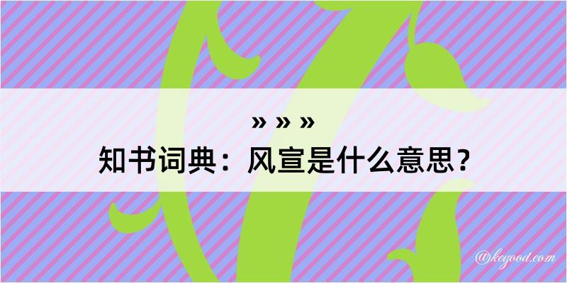 知书词典：风宣是什么意思？