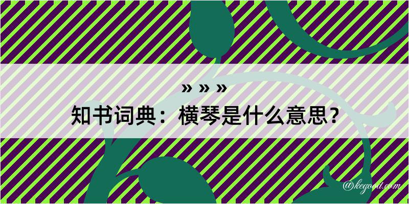 知书词典：横琴是什么意思？