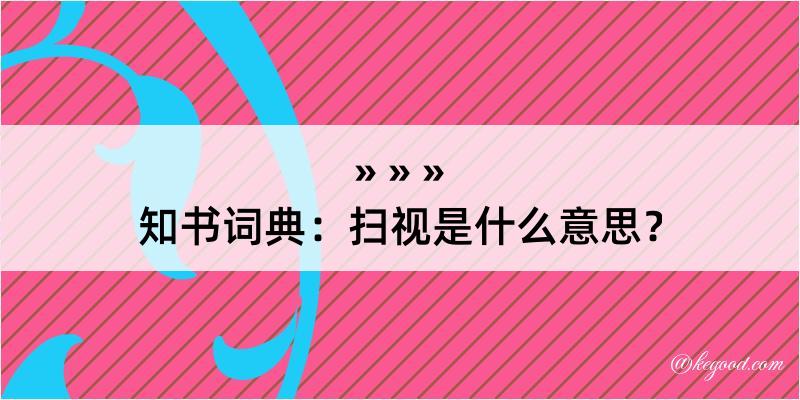 知书词典：扫视是什么意思？