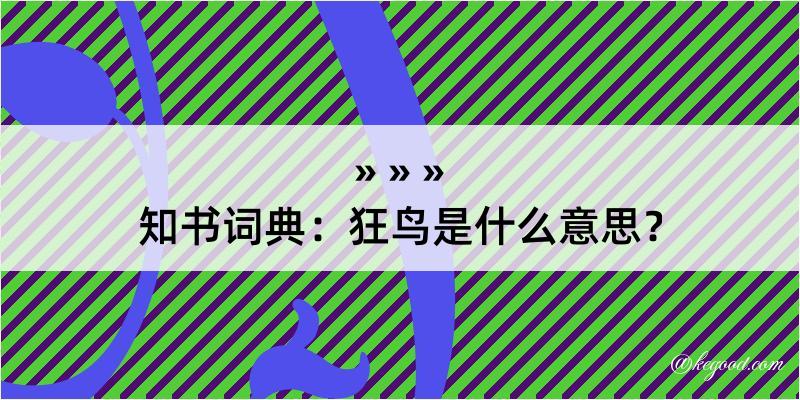 知书词典：狂鸟是什么意思？