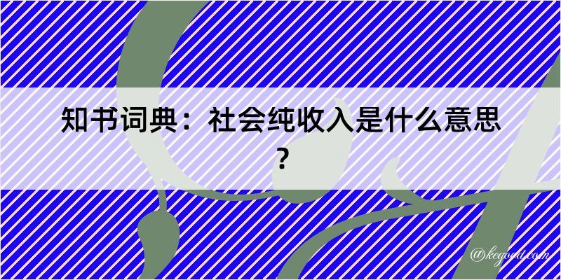 知书词典：社会纯收入是什么意思？