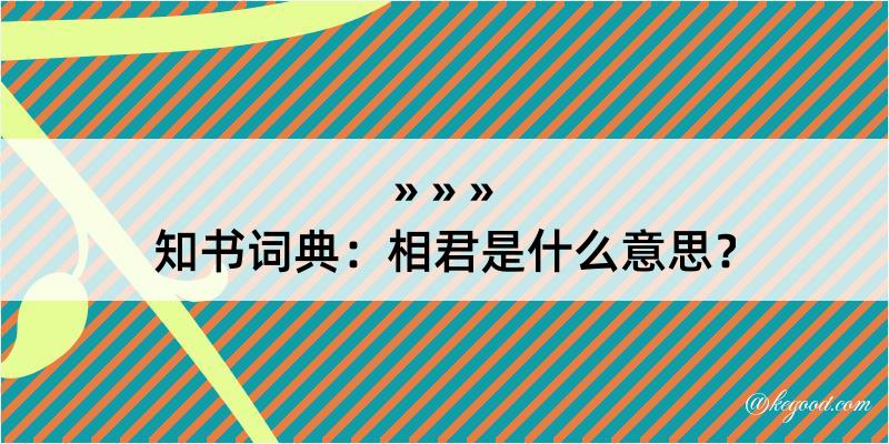 知书词典：相君是什么意思？