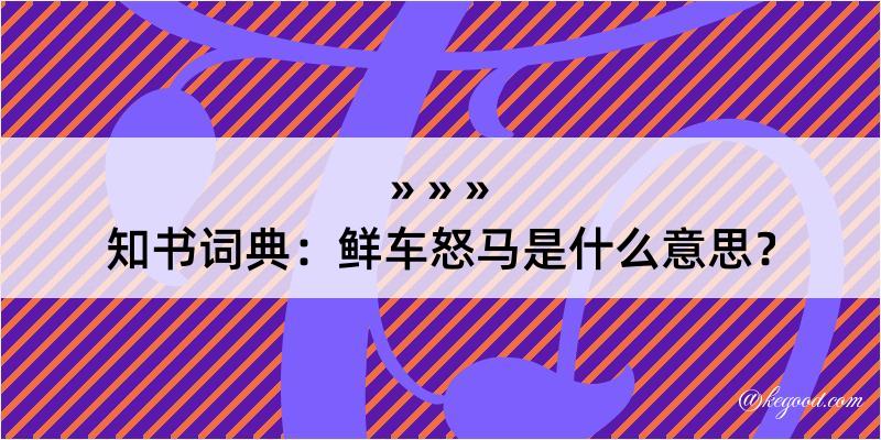 知书词典：鲜车怒马是什么意思？