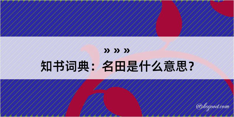 知书词典：名田是什么意思？