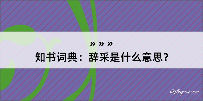 知书词典：辞采是什么意思？