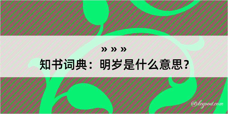 知书词典：明岁是什么意思？