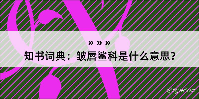 知书词典：皱唇鲨科是什么意思？