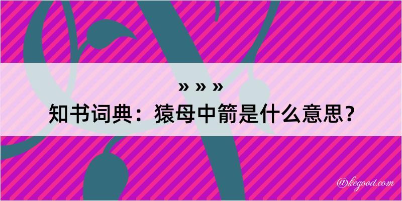 知书词典：猿母中箭是什么意思？