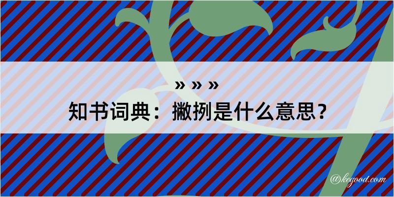 知书词典：撇挒是什么意思？