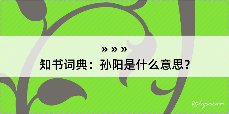 知书词典：孙阳是什么意思？