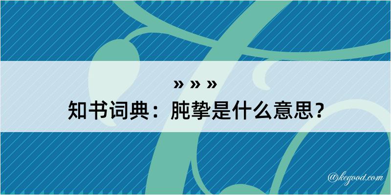 知书词典：肫挚是什么意思？