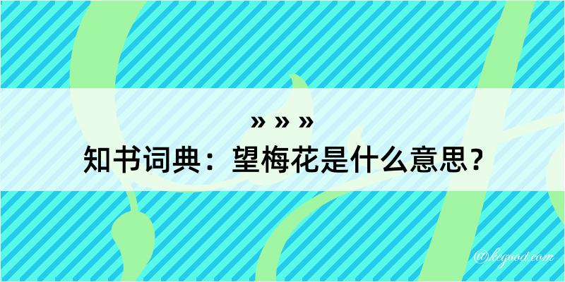 知书词典：望梅花是什么意思？