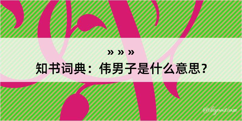 知书词典：伟男子是什么意思？