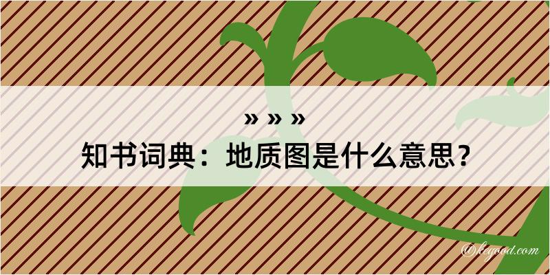 知书词典：地质图是什么意思？