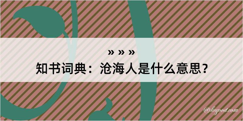 知书词典：沧海人是什么意思？